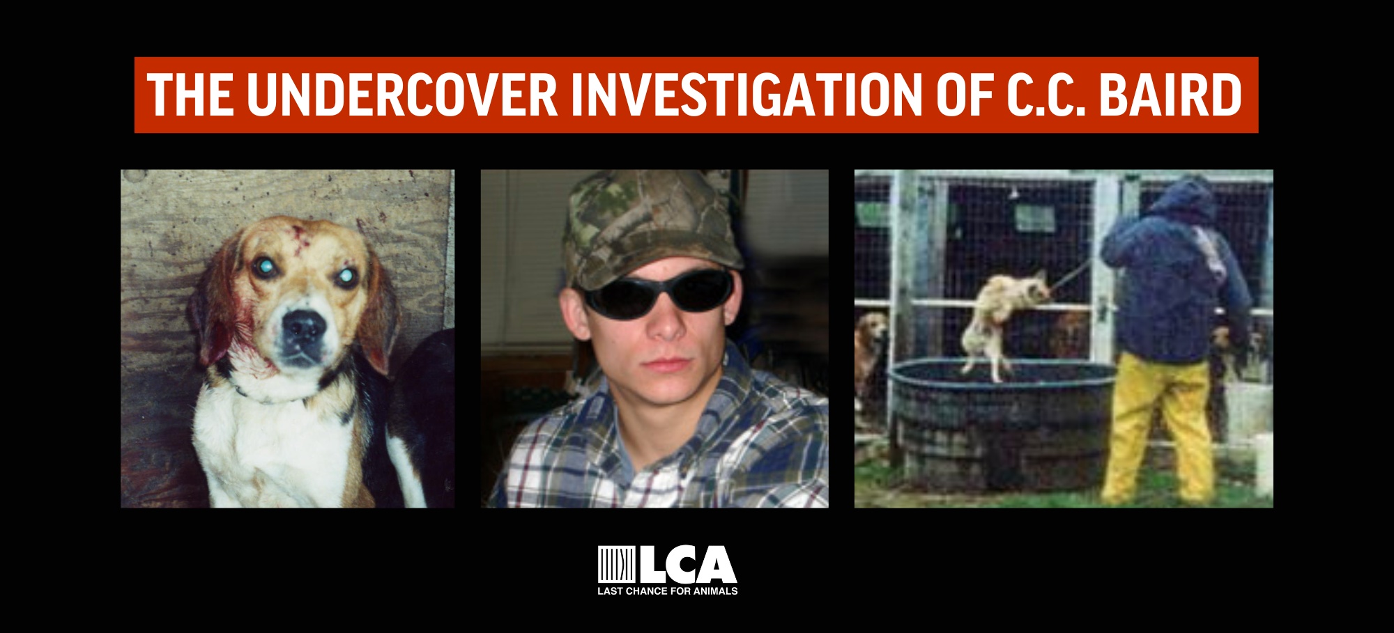 cc baird undercover investigation