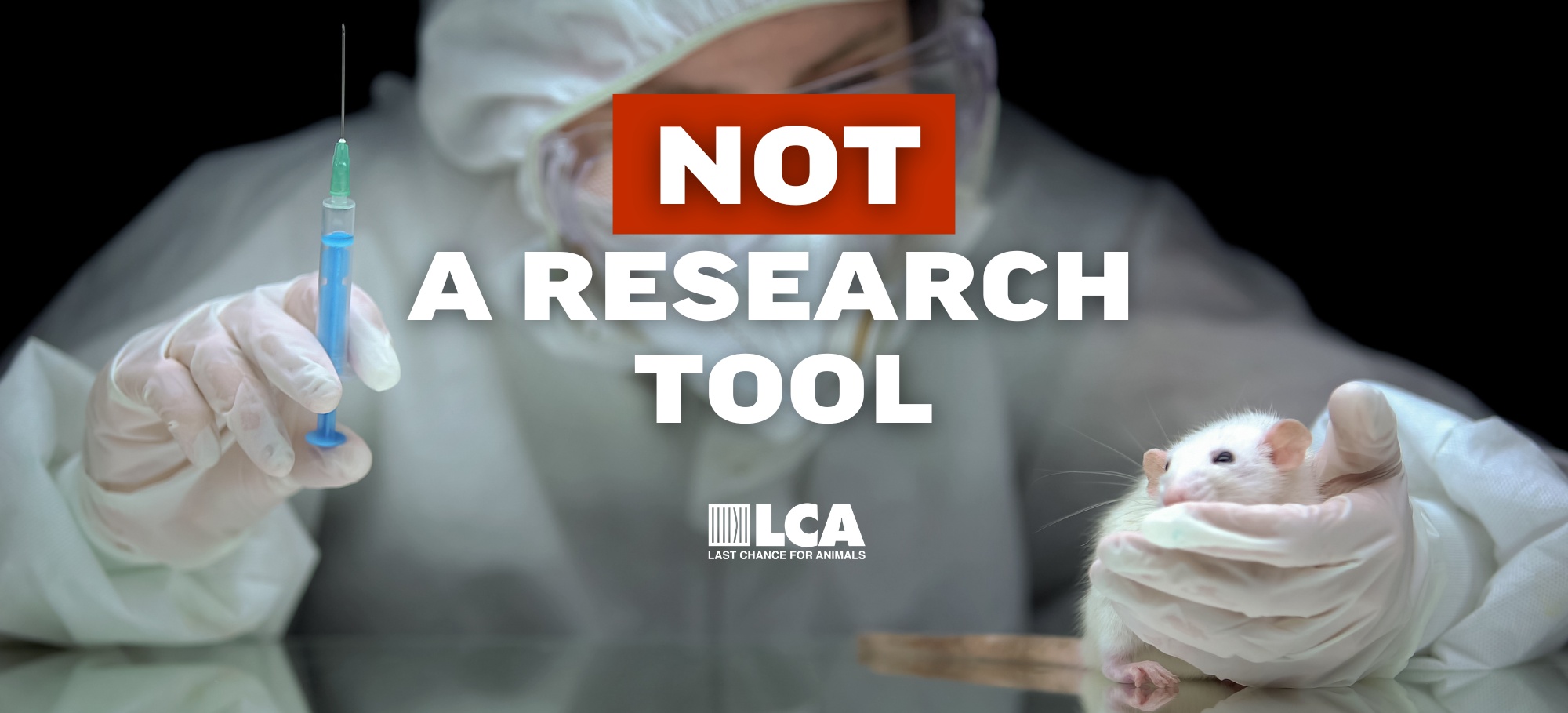 not a research tool stop animal research