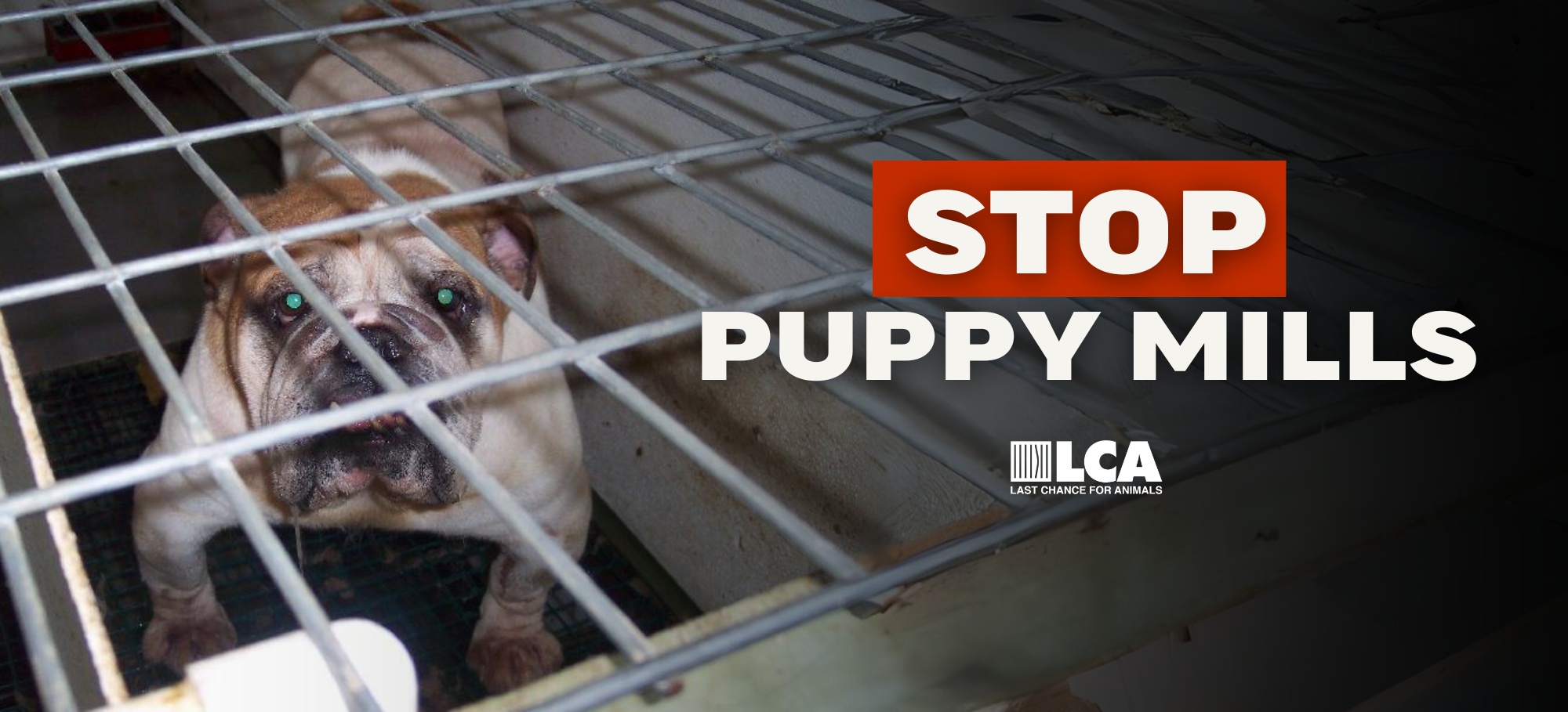 Stop Puppy Mills Legislation