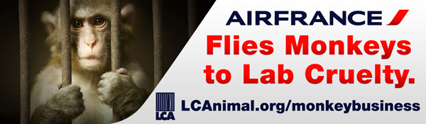 LCA Air France Web Billboard