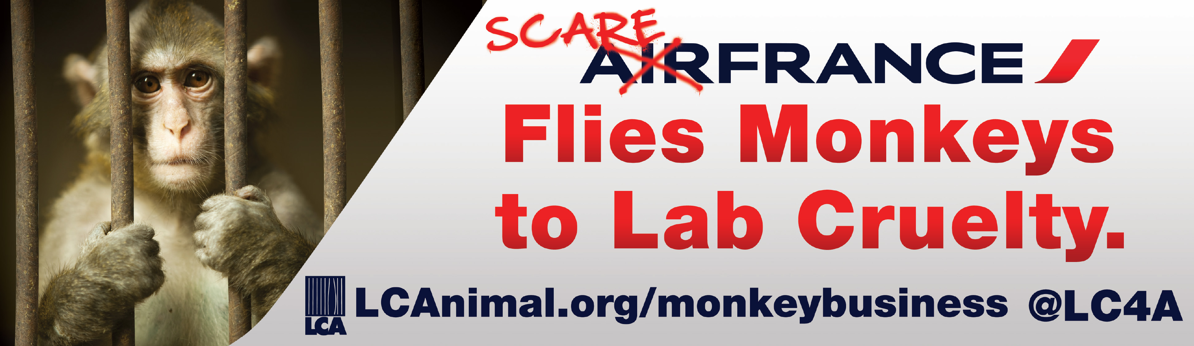 Scare France Billboard