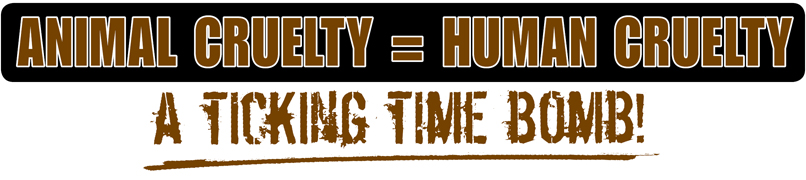 animal cruelty = human cruelty