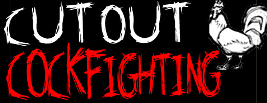cock fighting banner