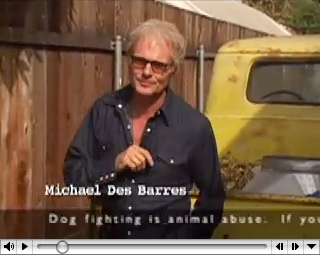 dogfighting video