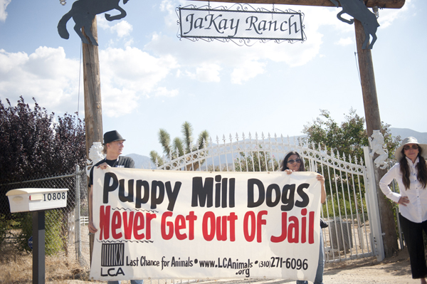 Puppy Mill Awareness Day 2011 Los Angeles