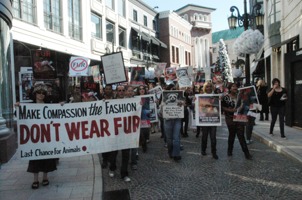 Fur Free Friday 11/25/11