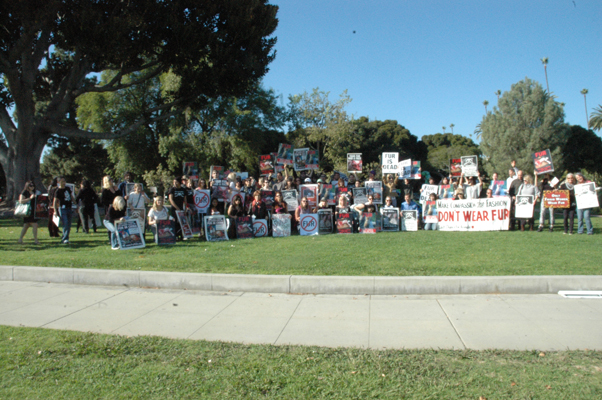 Fur Free Friday 11/25/11