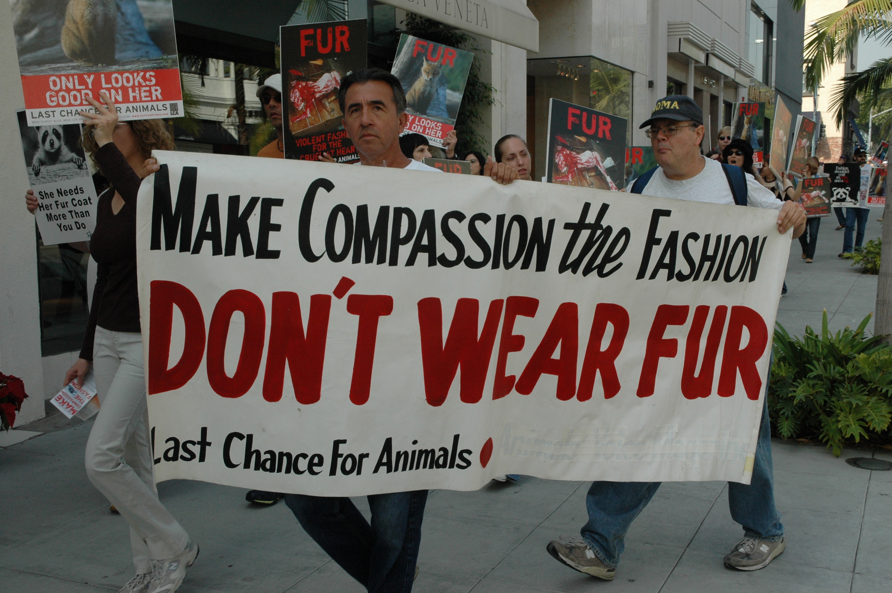 FFF protest