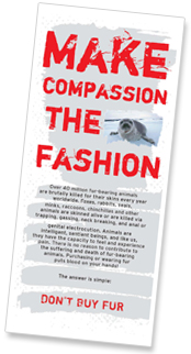 fur brochure