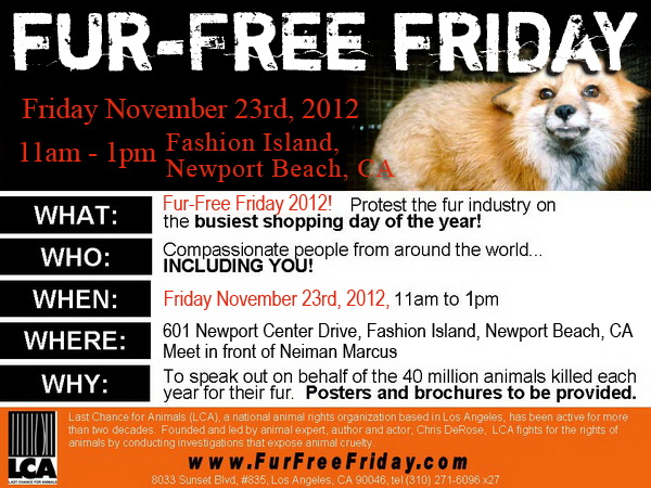 fur free friday lrg banner