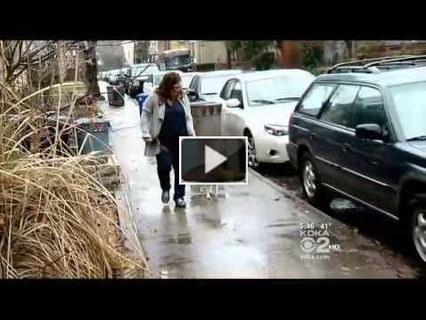 Chris DeRose speaks about pet theft on PA station KDKA