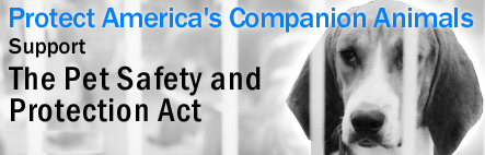 pspa banner 2013