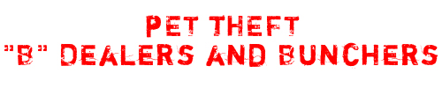 b dealers header