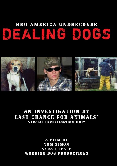 dealing dogs cover