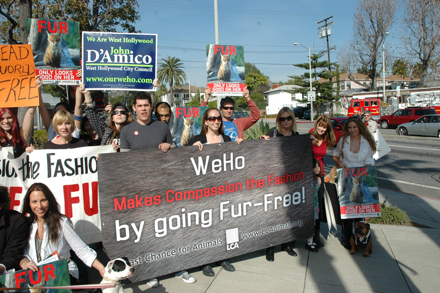 LCA protesting fur in WeHo