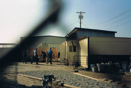 Raid on Ruggiero's kennel