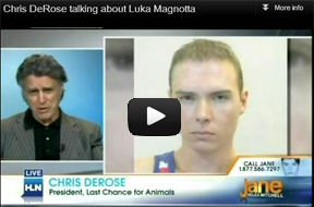 luka magnotta hln 2