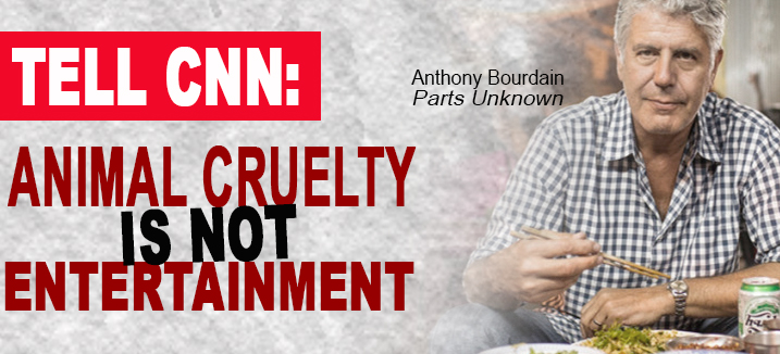 tell cnn carousel bourdain