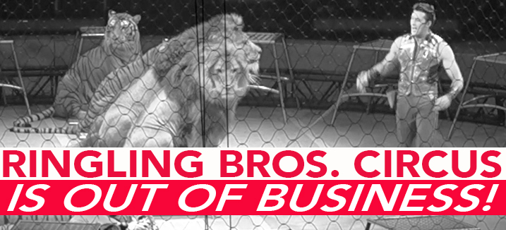 outofbiz BW carousel