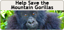 burst gorilla