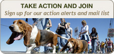 Take action and join!