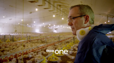 KFC Attempts to Cover Up ‘Wretched’ Chicken Conditions in a New KFC Documentary