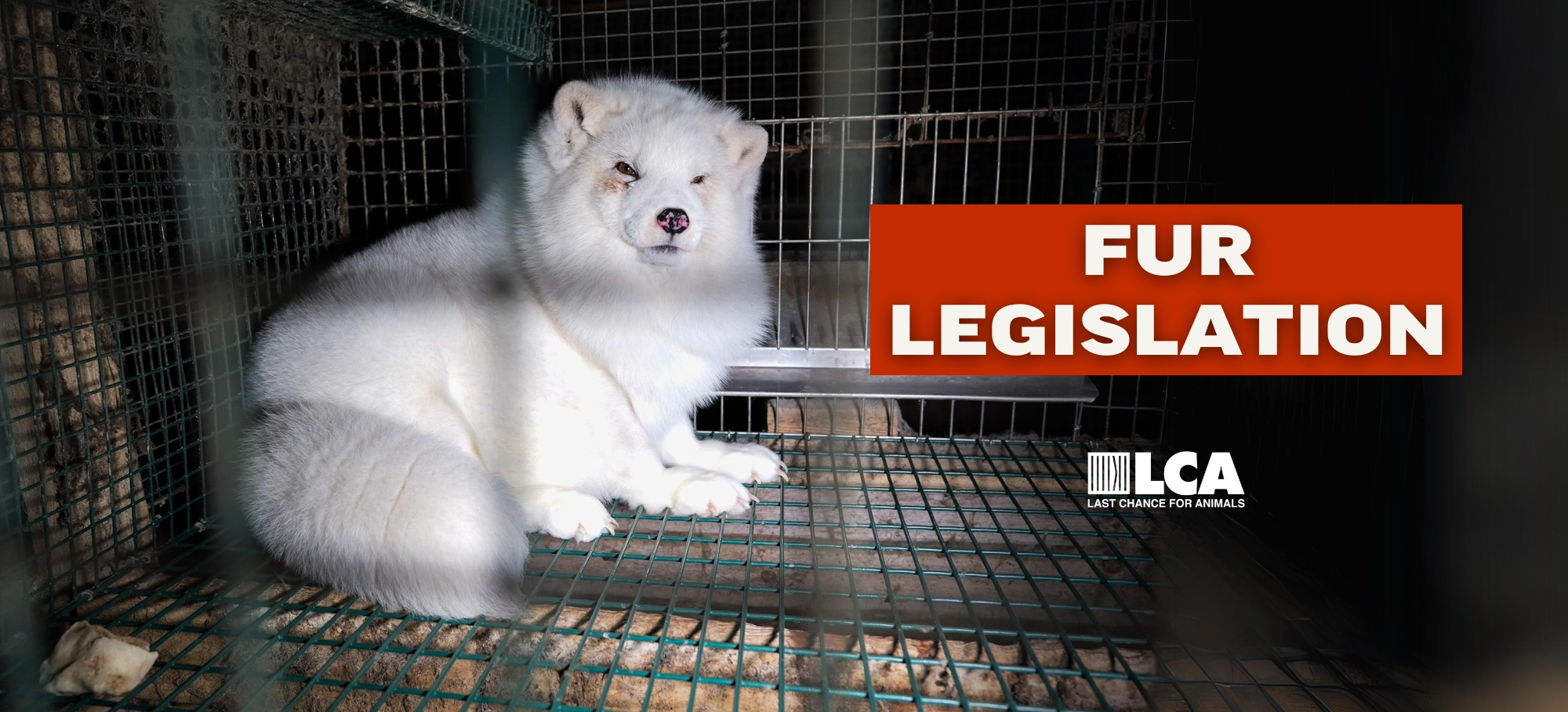 Fur legislation worldwide
