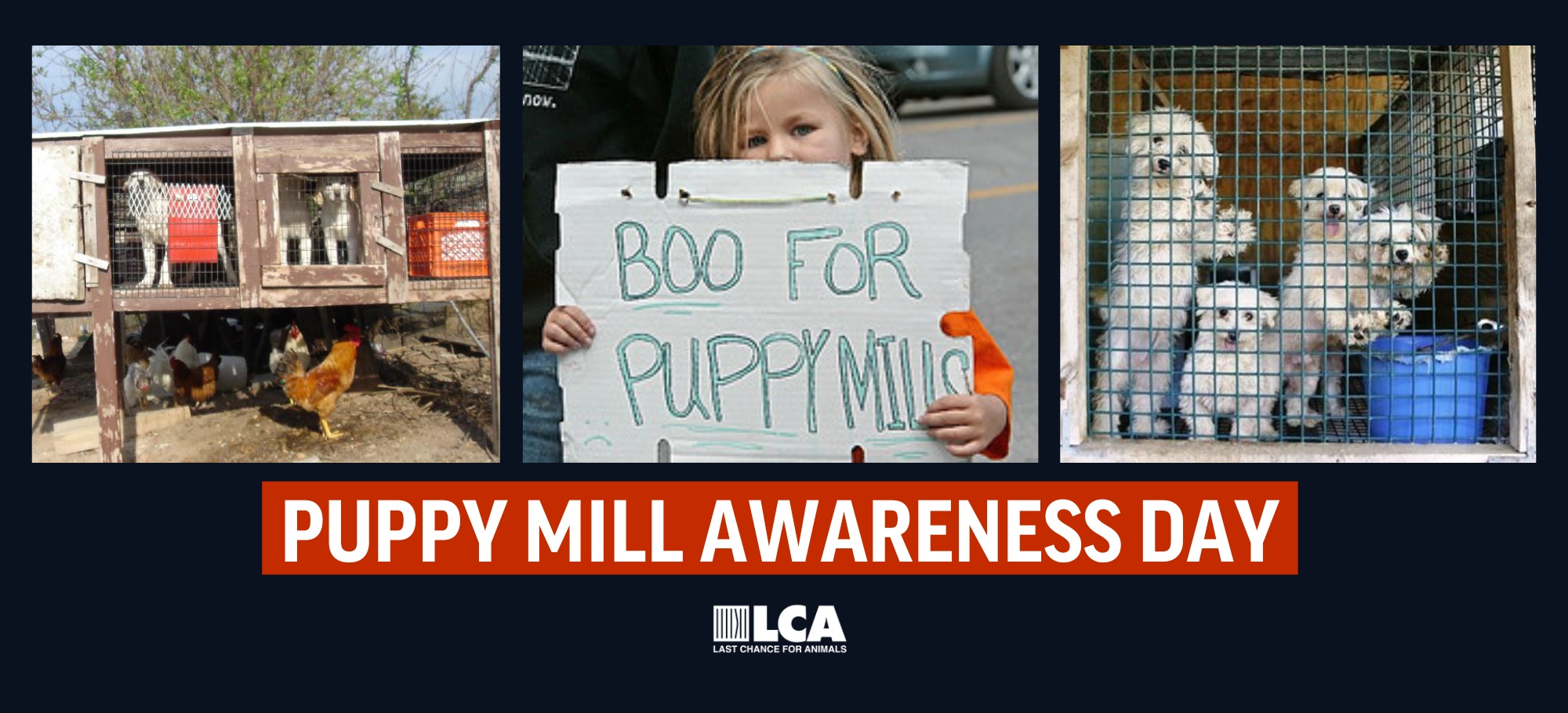 puppy mill awareness day