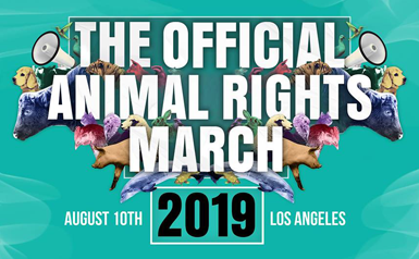 The Official Animal Rights March