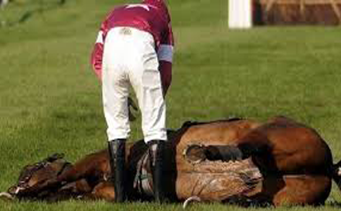 horse dies Santa Anita Park