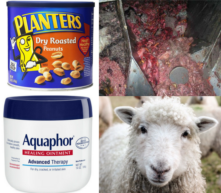 Last Chance for Animals - LCA Blog - 8 Shocking Animal Ingredients Hiding  in Everyday Products