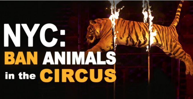 NYCCircusBan