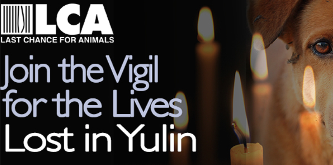 Vigil Yulin