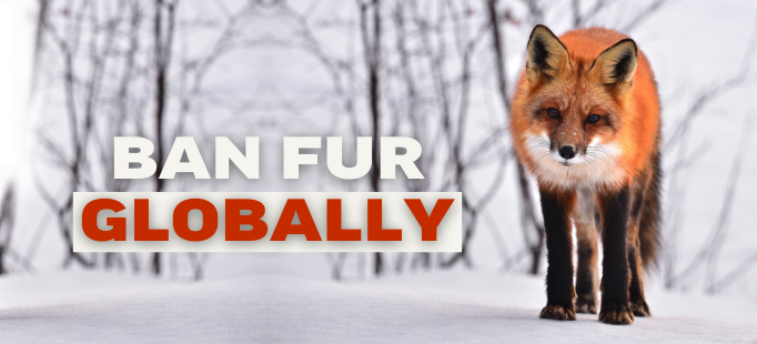 Ban Fur Globally 2023