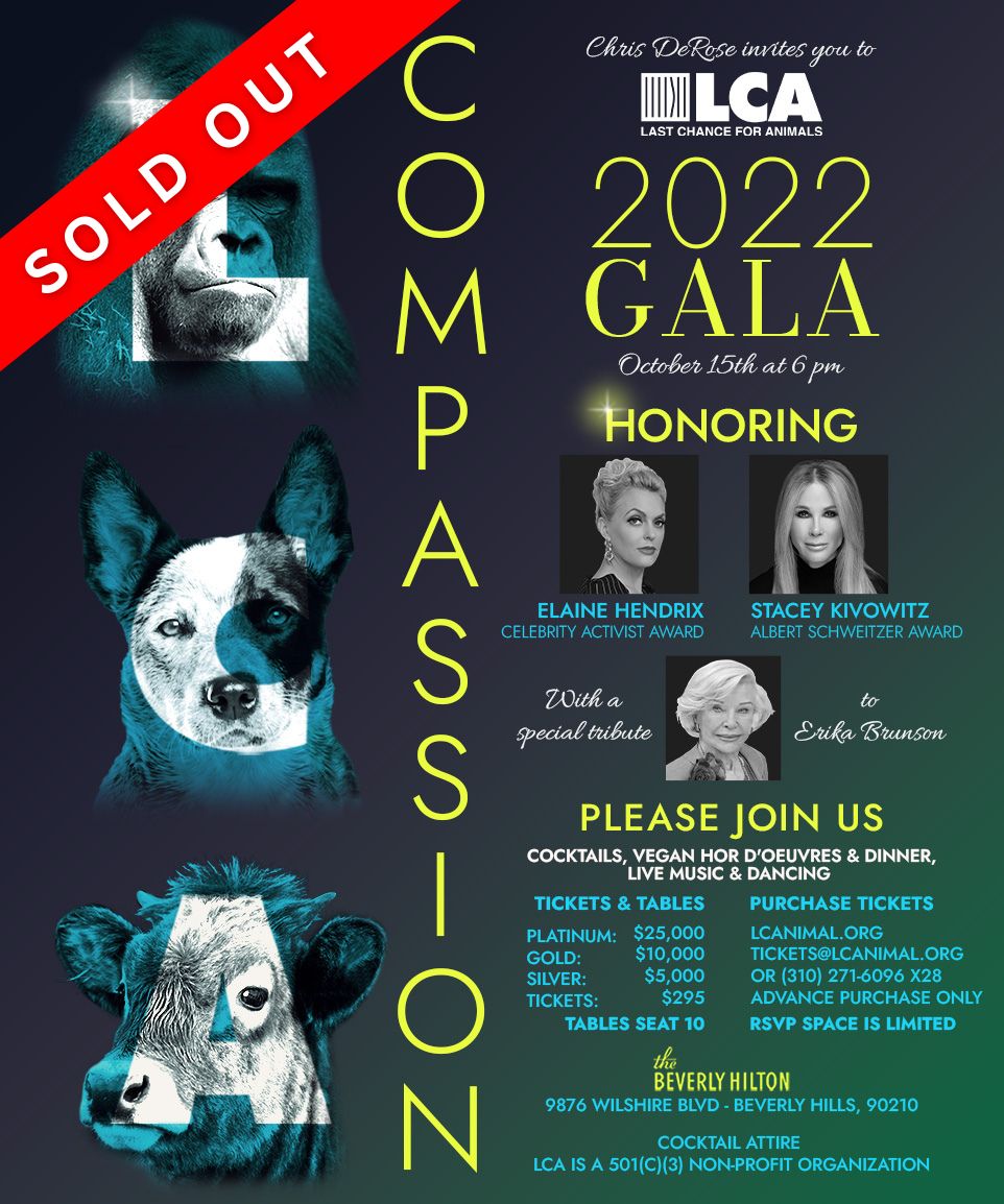 Gala Sold Out 2022