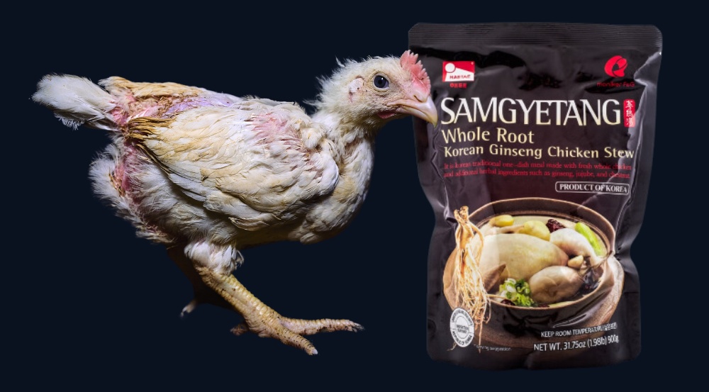 Samgyetang chicken product from south korea