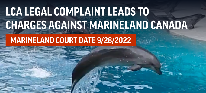LCA Files Legal Complaint Against Marineland Canada - Marineland Charged!