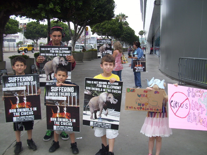 Ringling Protests 2012 1
