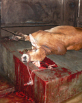 Indonesia dead cow