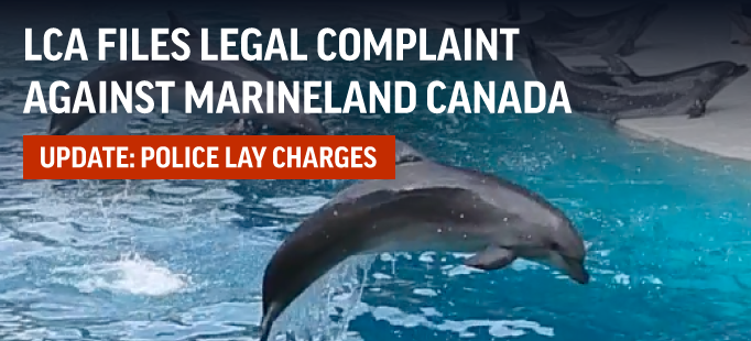 LCA Files Legal Complaint Against Marineland Canada