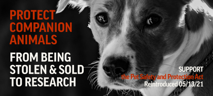 The Pet Safety and Protection Act