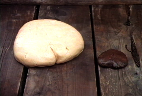 Engorged duck liver through gavage (force feeding) and a normal duck liver