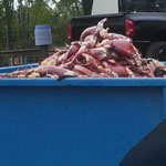 thumb bin of carcasses