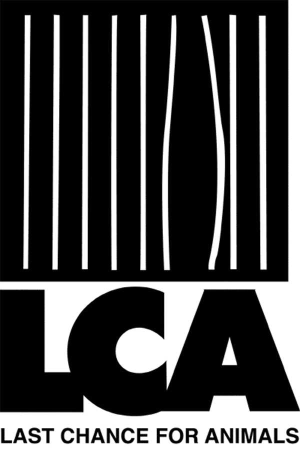 LCA