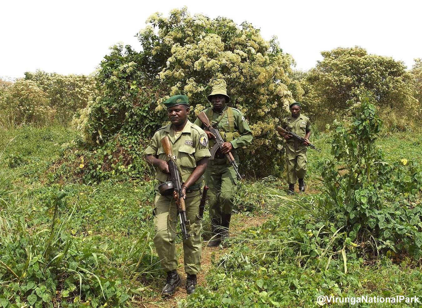 3Virunga Rangers at Work in the Congo