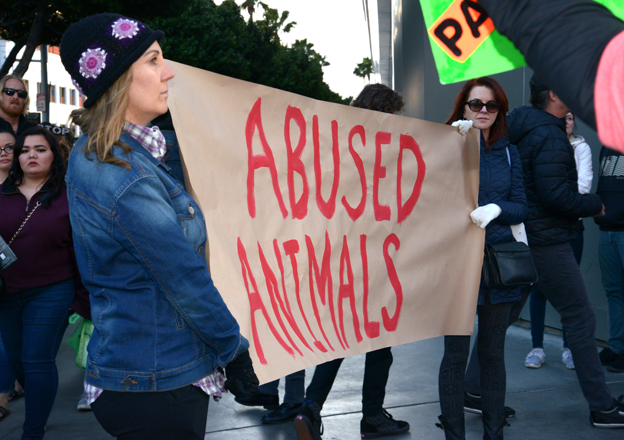 abused animals banner
