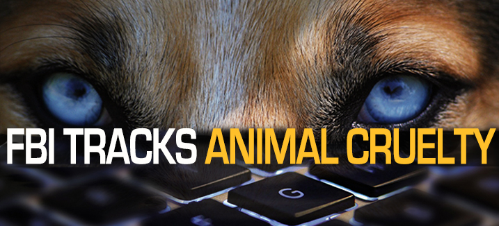 Last Chance for Animals - FBI Tracks Animal Cruelty