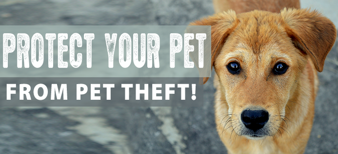 Last Chance for Animals - Pet Theft Last Chance for Animals - Pet Theft