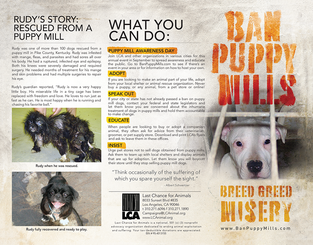 Last Chance for Animals - Puppy Mill Awareness Day