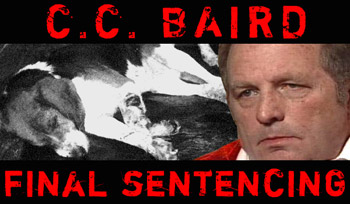 baird final sentencing